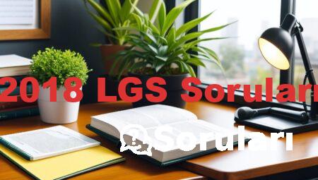 2018 LGS Soruları