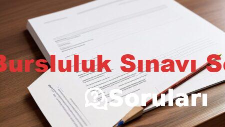 2020 Bursluluk Sınavı Soruları