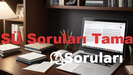 2023-MSÜ Soruları Tamami PDF