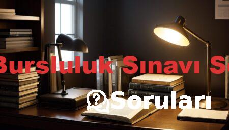 2024 Bursluluk Sınavı Soruları