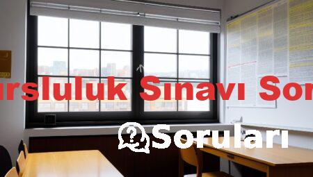 5 Sınıf Bursluluk Sınavı Soruları PDF
