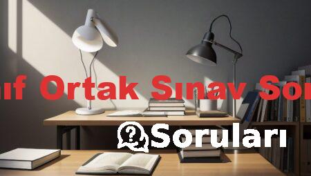 7 Sınıf Ortak Sınav Soruları