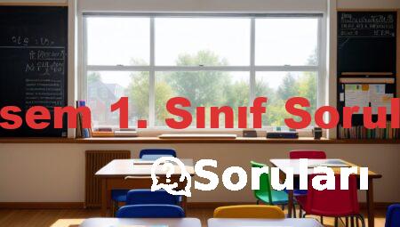 Bilsem 1. Sınıf Soruları
