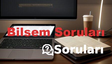 Bilsem Soruları