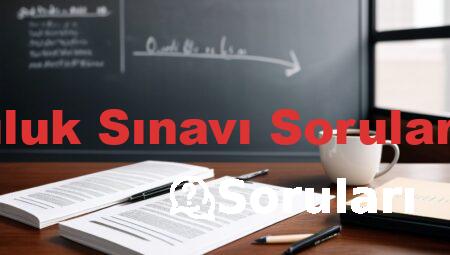 Bursluluk Sınavı Soruları 2023