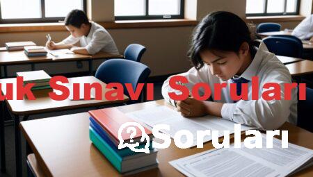 Bursluluk Sınavı Soruları 5. Sınıf