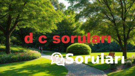 d c soruları
