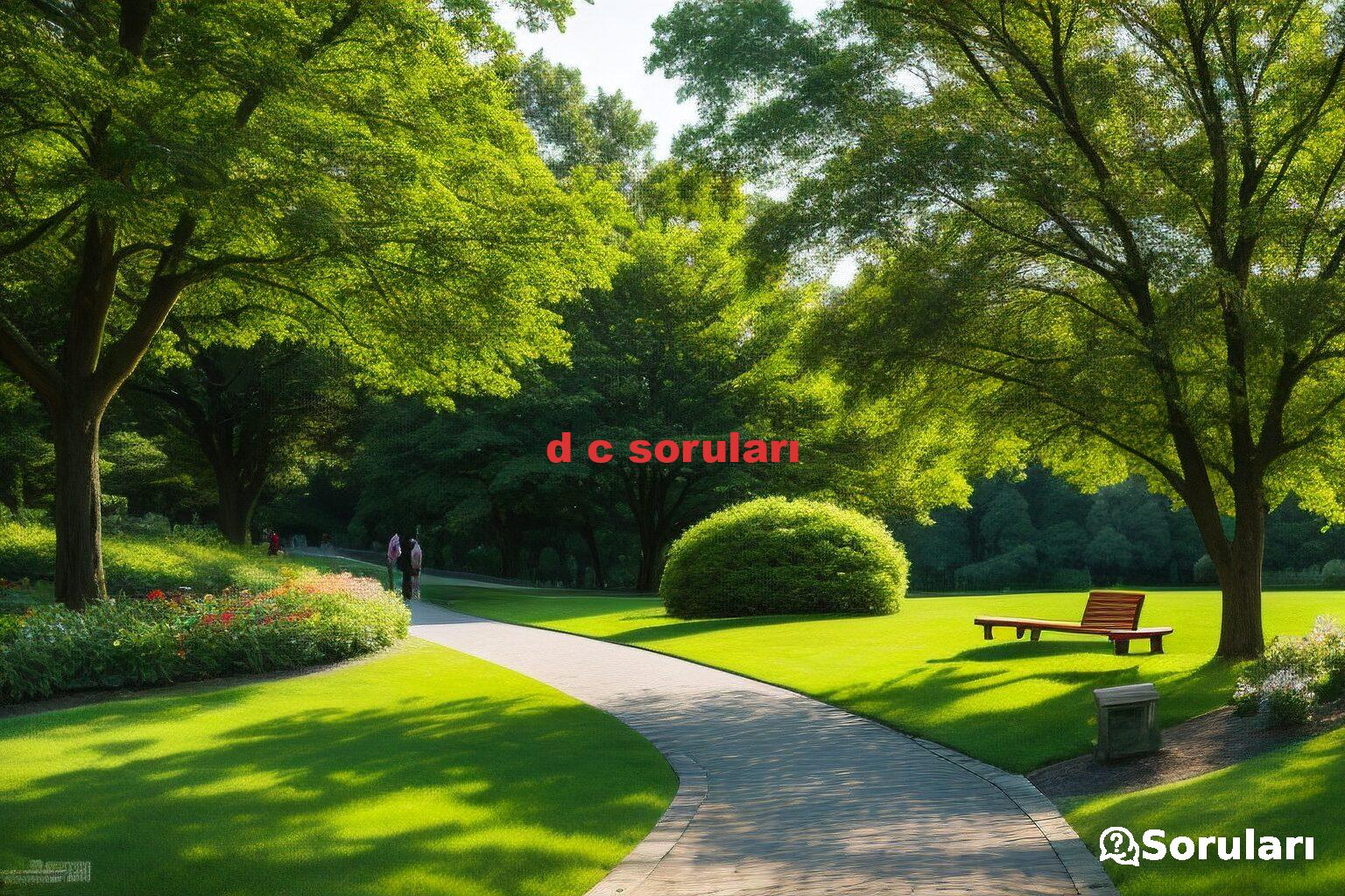 d c soruları
