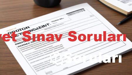 Ehliyet Sınav Soruları 2021