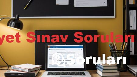 Ehliyet Sınav Soruları Çöz