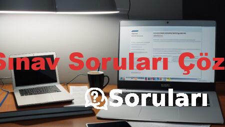 Ehliyet Sınav Soruları Çöz 50 Soru