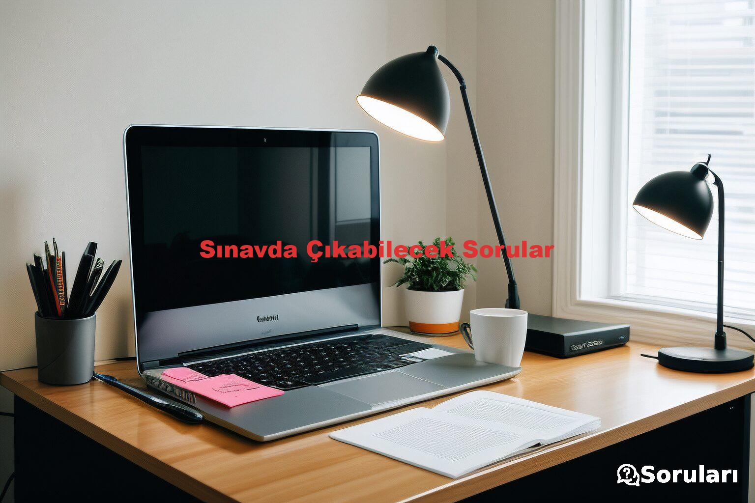 Sınavda Çıkabilecek Sorular
