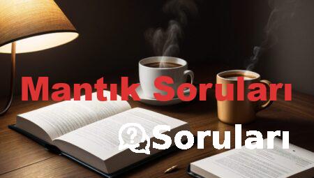Mantık Soruları