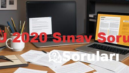 MSÜ 2020 Sınav Soruları