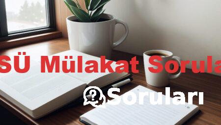 MSÜ Mülakat Soruları