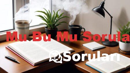 O Mu Bu Mu Soruları