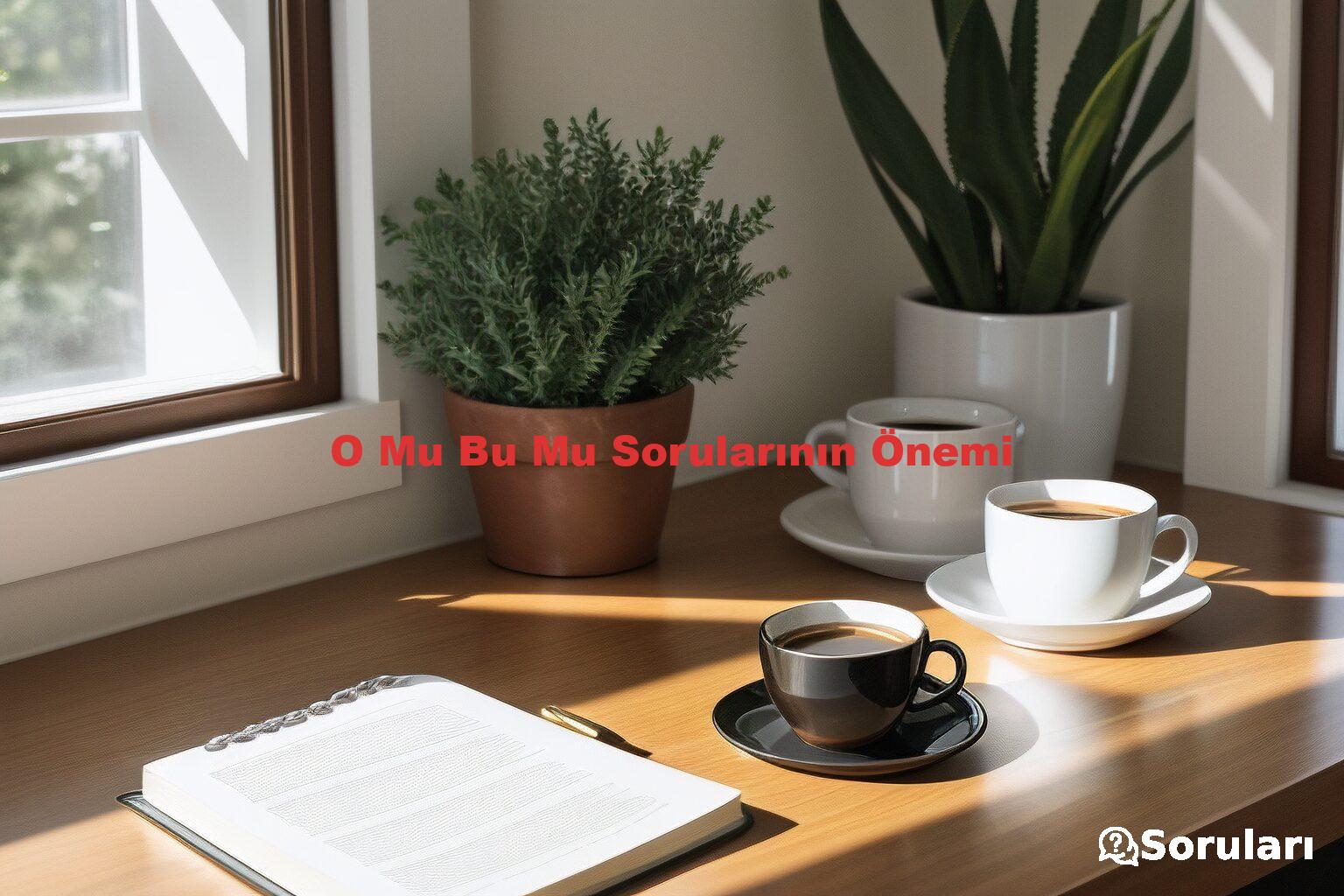 O Mu Bu Mu Sorularının Önemi