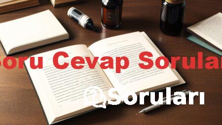 Soru Cevap Soruları