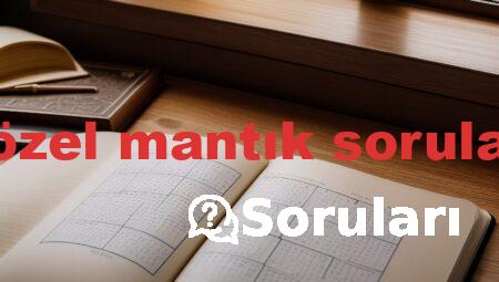 sözel mantık soruları