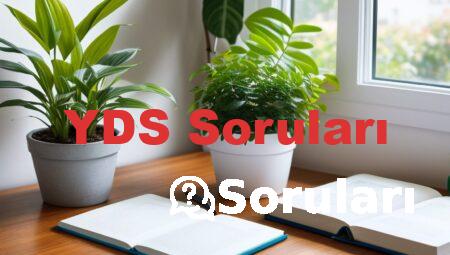 YDS Soruları