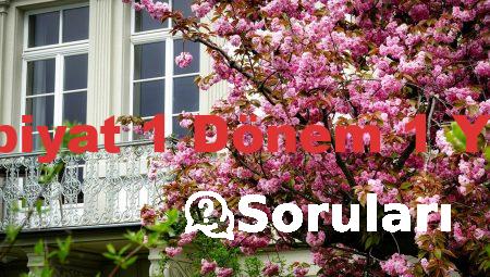 10 Sınıf Edebiyat 1 Dönem 1 Yazılı Soruları