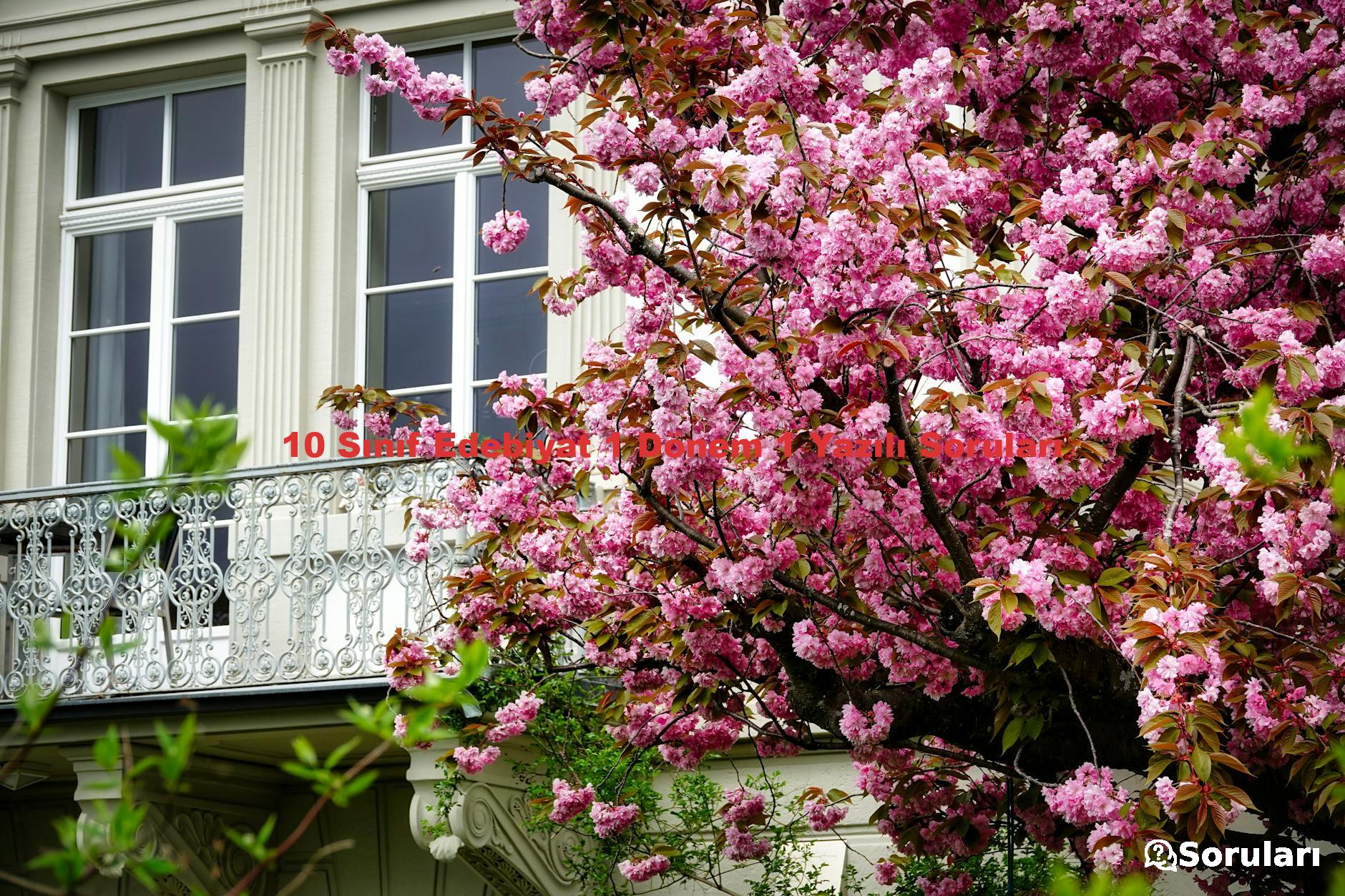 10 Sınıf Edebiyat 1 Dönem 1 Yazılı Soruları