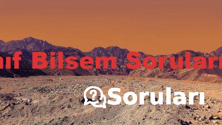 2 Sınıf Bilsem Soruları Çöz