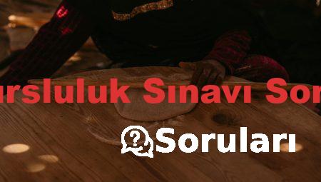 5 Sınıf Bursluluk Sınavı Soruları PDF