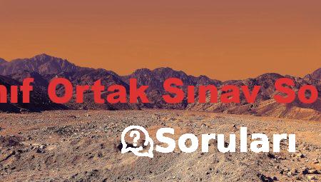 6. Sınıf Ortak Sınav Soruları