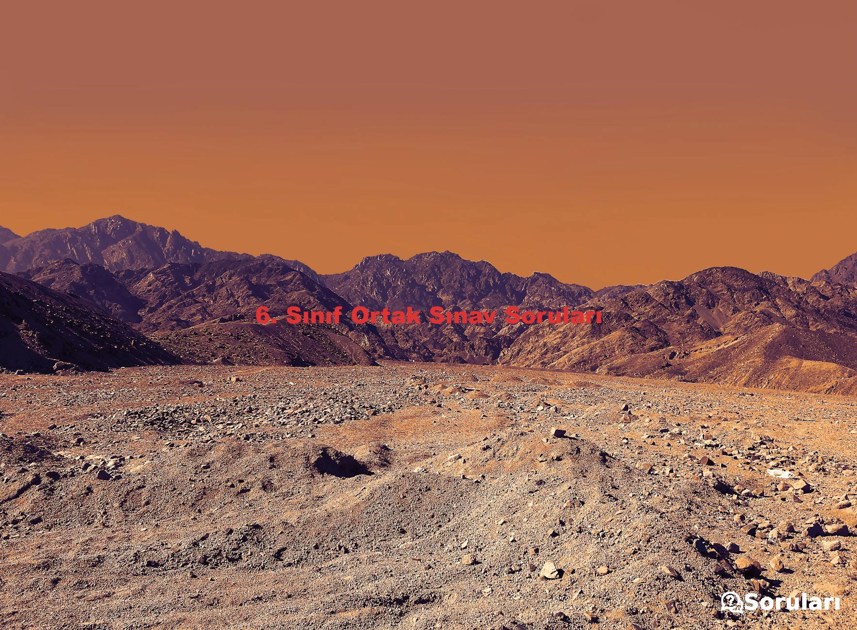 6. Sınıf Ortak Sınav Soruları