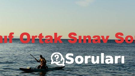 7. Sınıf Ortak Sınav Soruları