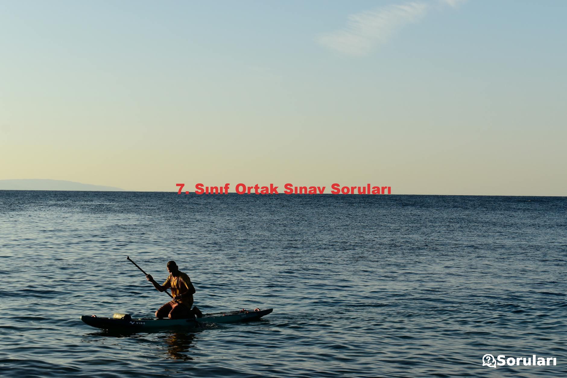 7. Sınıf Ortak Sınav Soruları