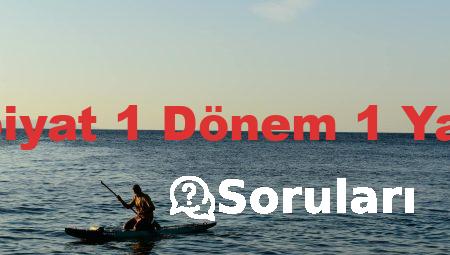 9 Sınıf Edebiyat 1 Dönem 1 Yazılı Soruları