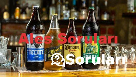 Ales Soruları