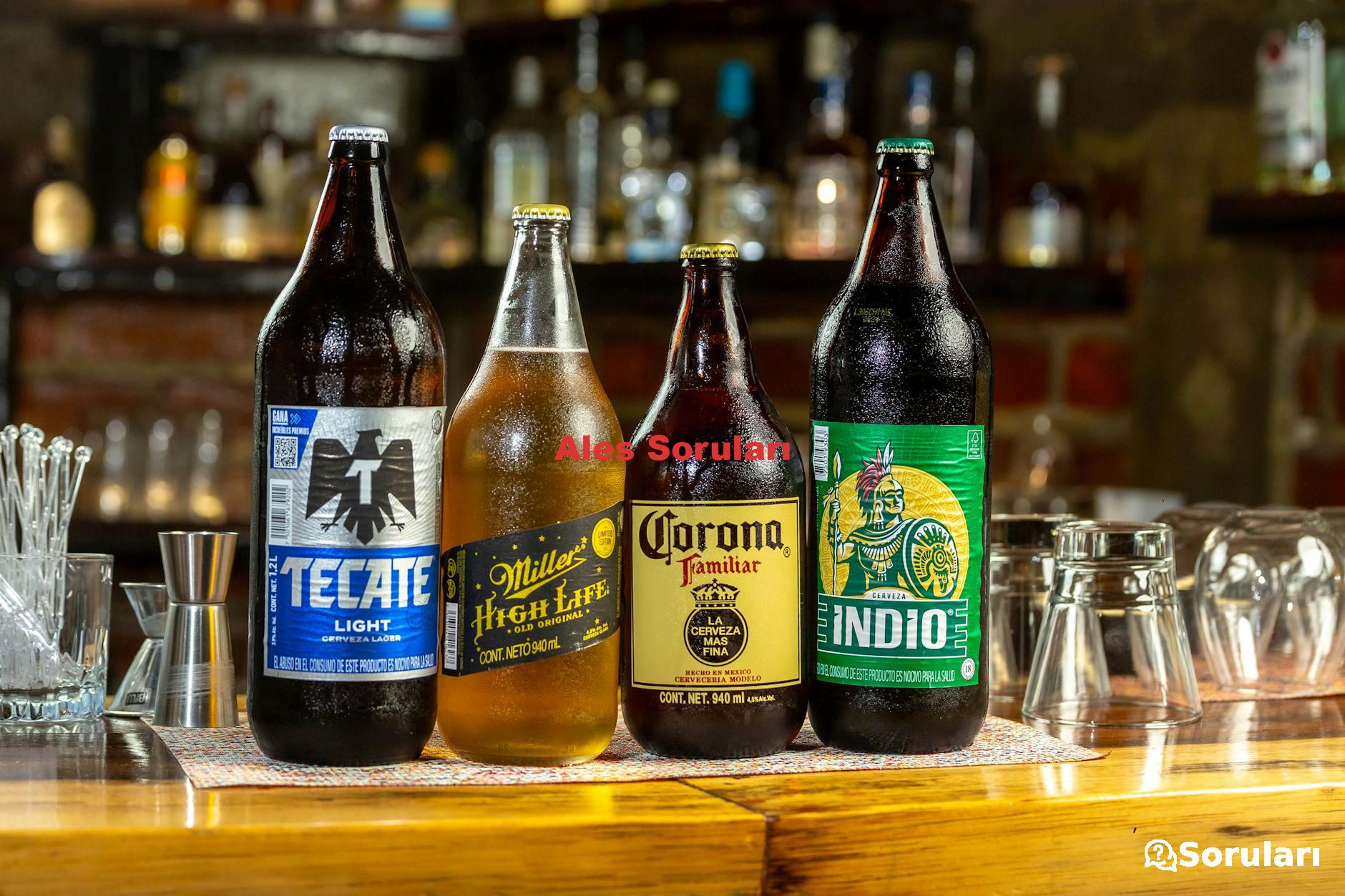 Ales Soruları