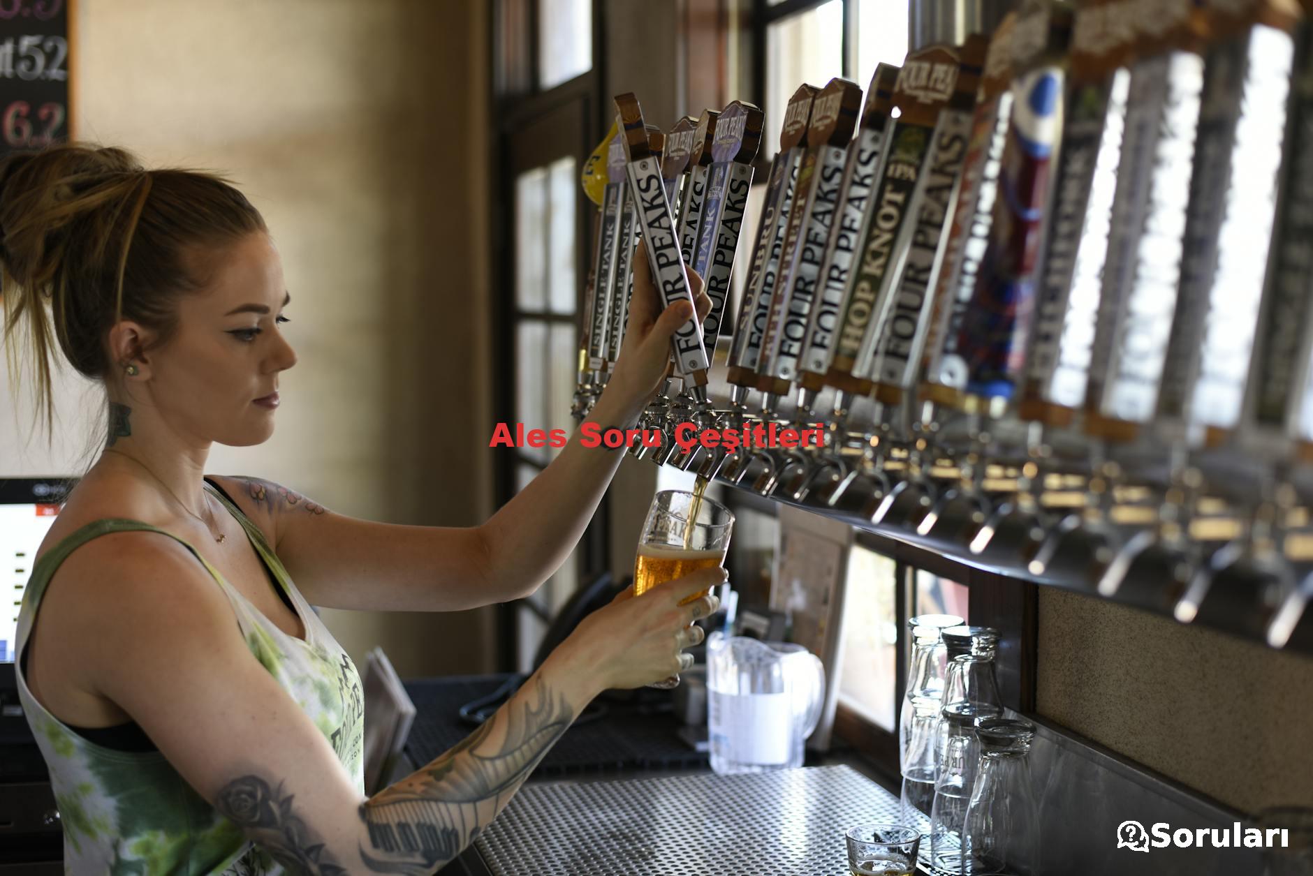 Ales Soru Çeşitleri