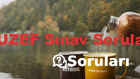 AUZEF Sınav Soruları