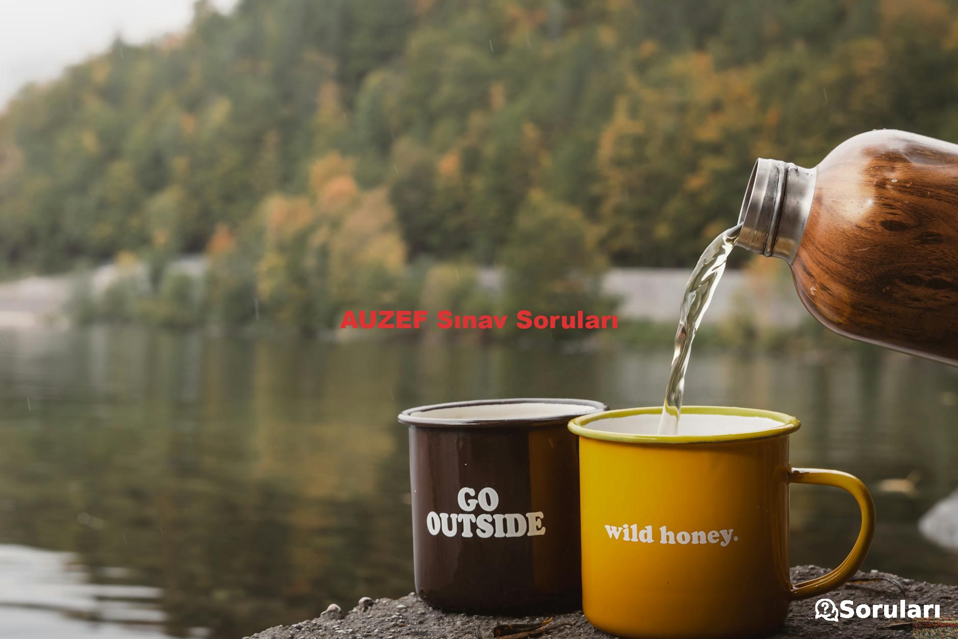 AUZEF Sınav Soruları