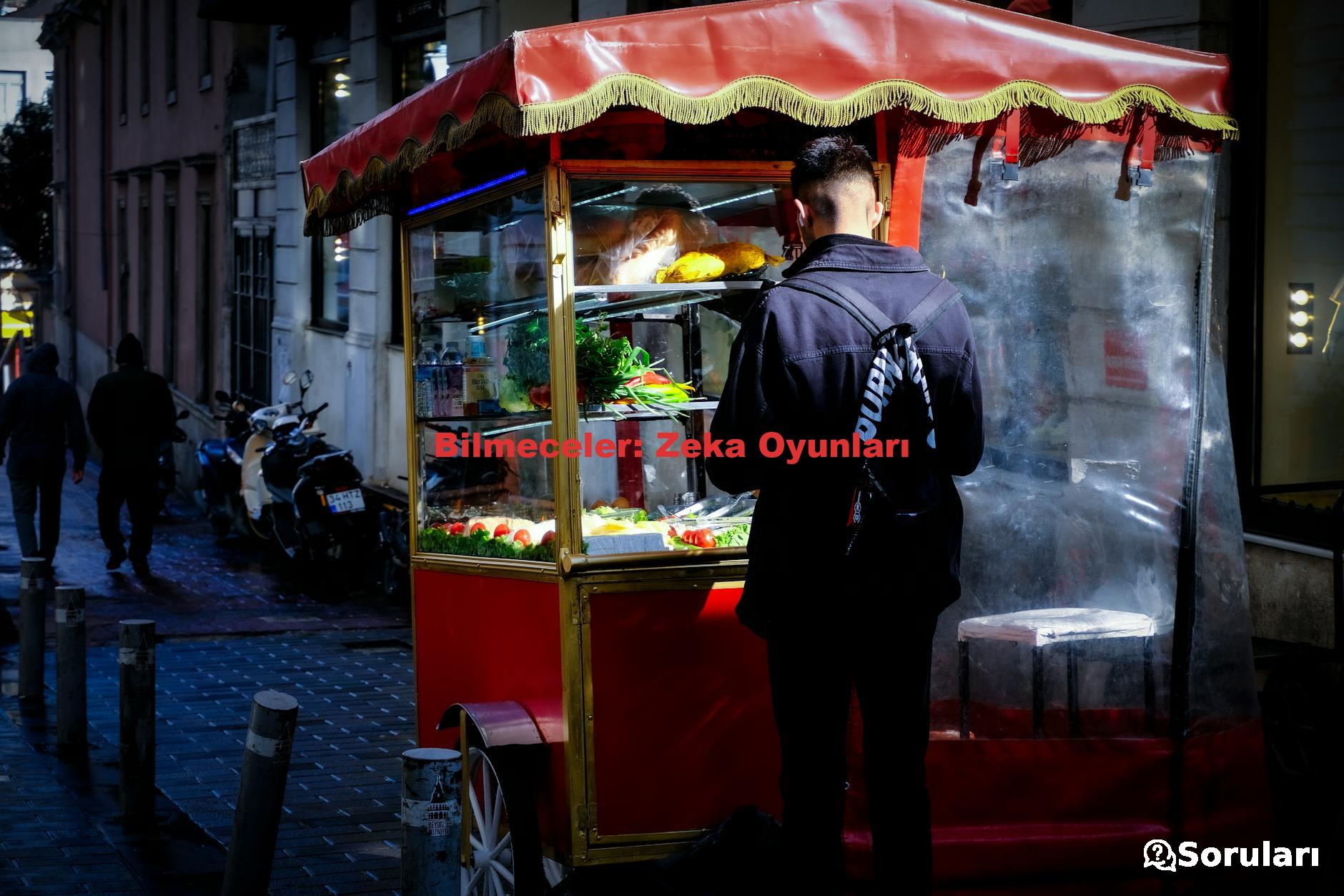 Bilmeceler: Zeka Oyunları
