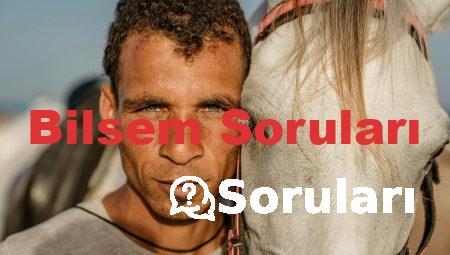 Bilsem Soruları