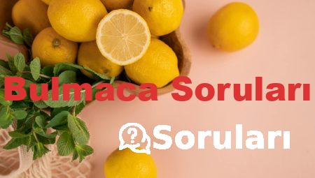 Bulmaca Soruları