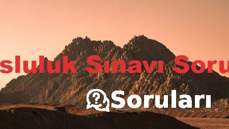Bursluluk Sınavı Soruları