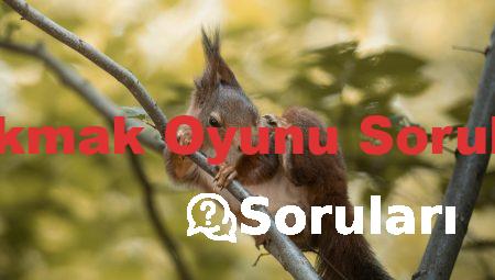Çakmak Oyunu Soruları