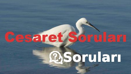 Cesaret Soruları