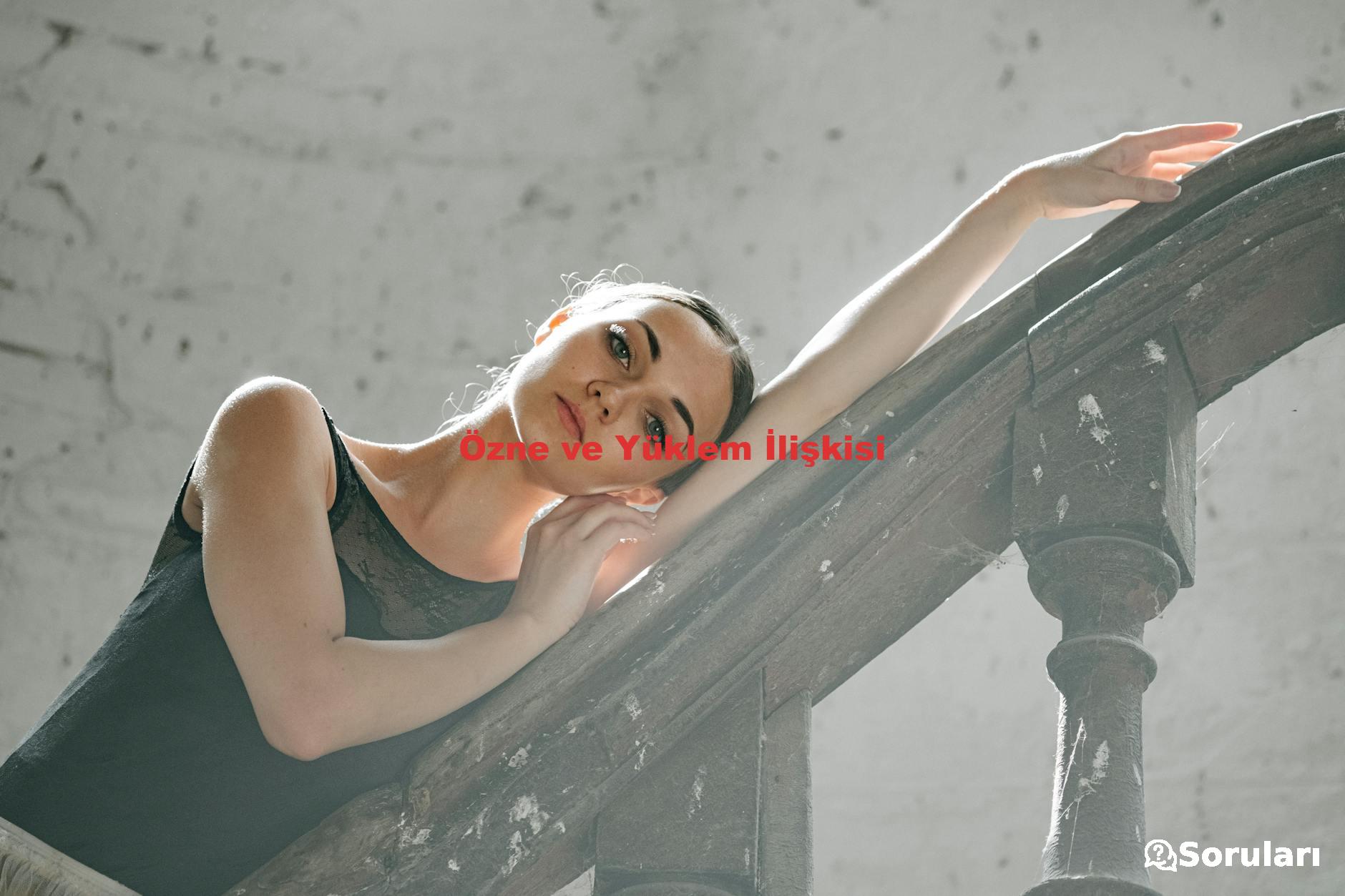 Özne ve Yüklem İlişkisi