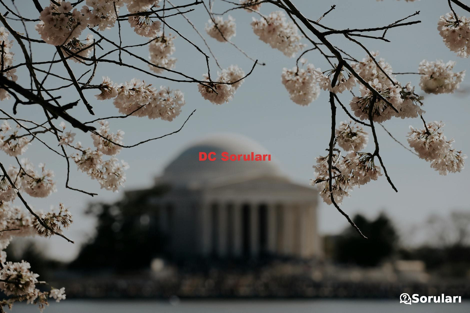 DC Soruları