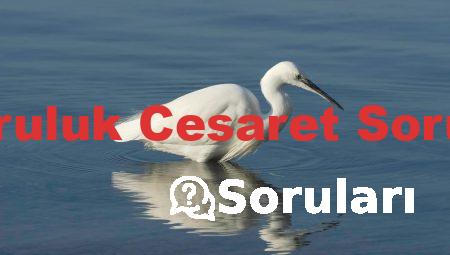 Doğruluk Cesaret Soruları