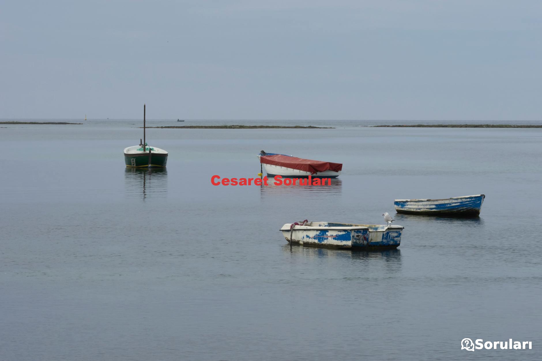 Cesaret Soruları