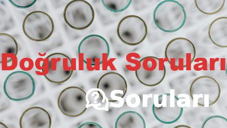 Doğruluk Soruları