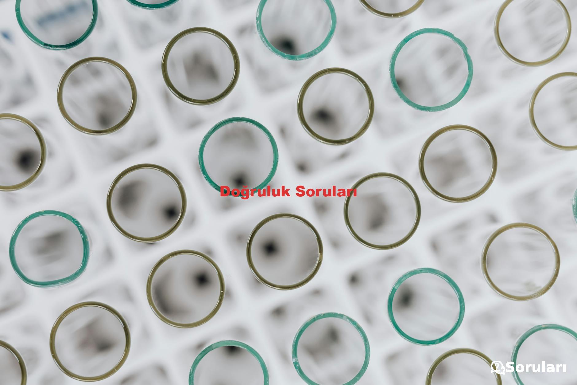 Doğruluk Soruları